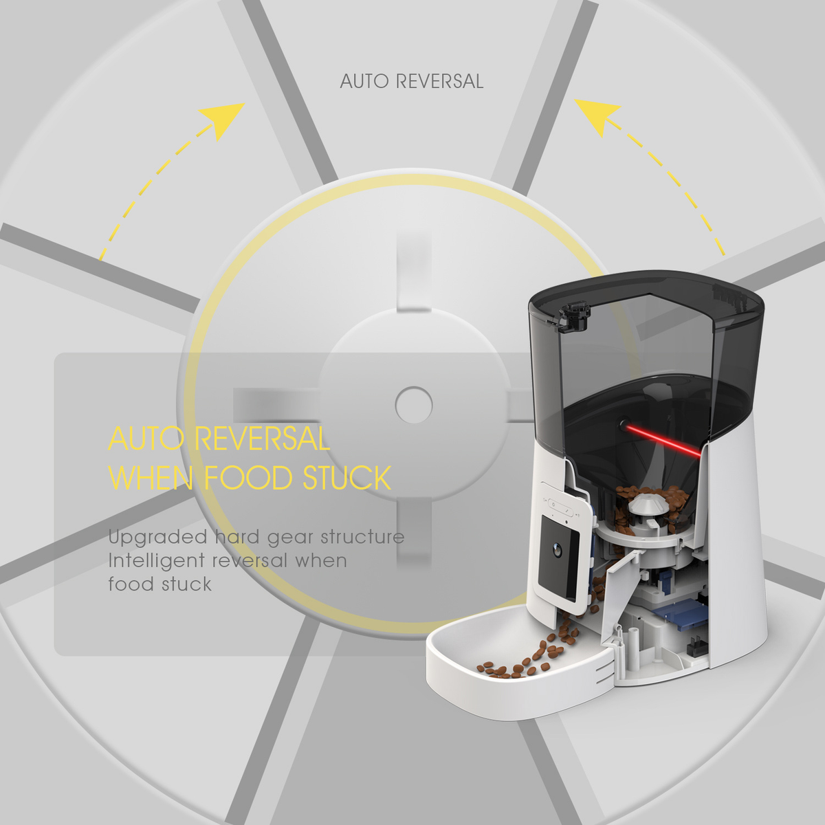 Alimentador Automático para Animais com Câmera